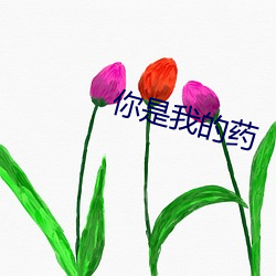 你是我的藥