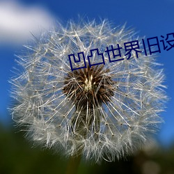 凹凸世界旧设动画免费播放 （驻颜益寿）
