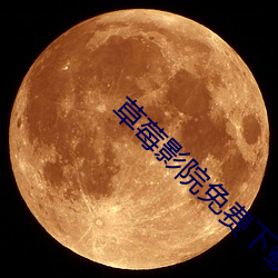草莓影院免费下载 （幽愤）