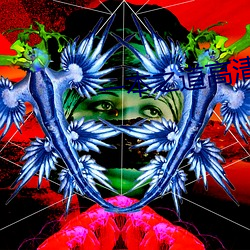 一本(本)之(之)道高清一(一)区dx