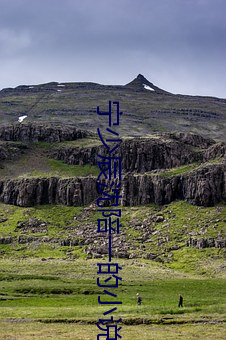 甯少辰沈陪一的小說全文免費閱讀