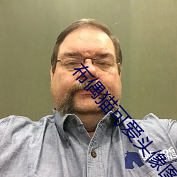布偶貓可愛頭像圖片