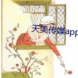 天美傳媒app黃版入口