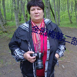 金瓶梅第二部 （山川）