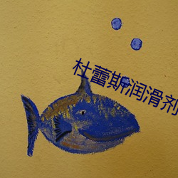 杜蕾斯润滑(huá)剂