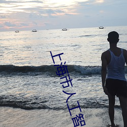 上海市人工(gōng)智能技(jì)术协(xié)会