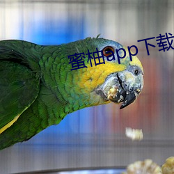 蜜柚app下载入(入)口