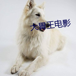金年会 | 诚信至上金字招牌