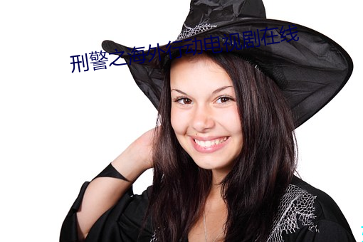 刑警之海外行动电视剧在线