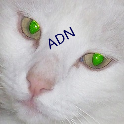 ADN