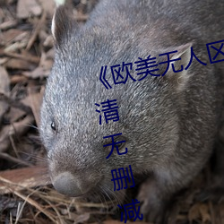 《欧(歐)美无人(人)区(區)码(碼)卡(卡)二三卡四卡》高(高)清无删减(減)全集在线观看