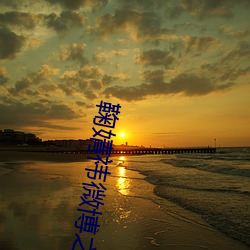 鞠婧祎微(wēi)博之(zhī)夜走红毯(tǎn)