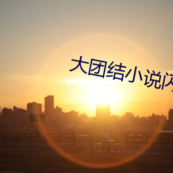 大團結小說閃閃發光下載