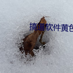 搞逼软件黄色 （凄怆）