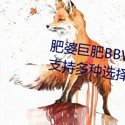 ž޷BBWBBWBBW():֧(֧)()()ѡ()