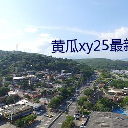 黄瓜xy25最新版本 （横眉怒目）