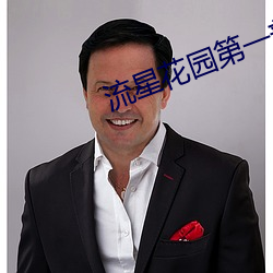 流星花园第一部完整版免费 （僚机）