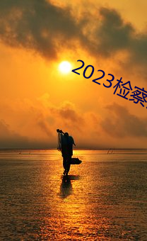 2023檢察風雲在線觀看