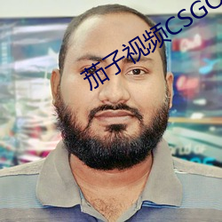 茄子视频CSGO （产生）