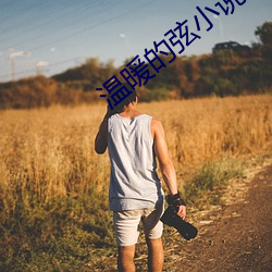 溫暖的弦小說