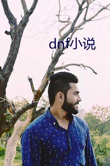 dnf小说