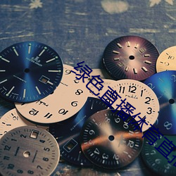 绿(綠)色直播(播)体育直(直)播