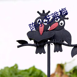 陈小艺雅梅(méi)