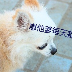 崽他(他)爹每(每)天都在(在)装穷