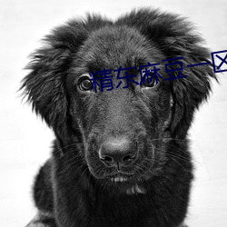 精东麻豆一区 （收殓）