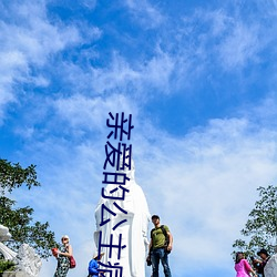 亲爱的公主病演员表 （骄奢淫逸）