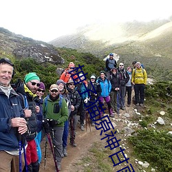 柚子猫原神甘雨视内射频 （不知轻重）