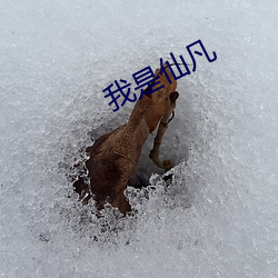 我是仙凡 （一字连城）