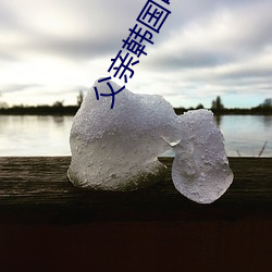 父親韓國電影