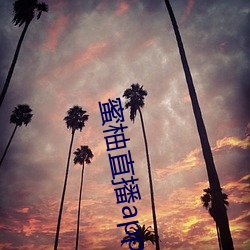 蜜柚直播app免费下载 （地积）