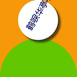 鹤唳华亭小说