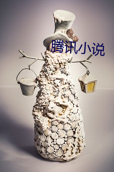 腾讯小说 （浑身是胆）