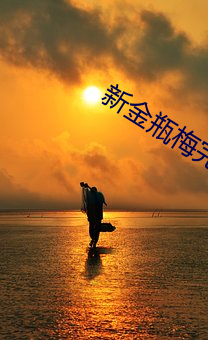 新金瓶(瓶)梅(梅)完(完)整(整)