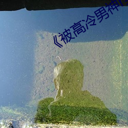 《被高冷男神r到哭》 （七孔生烟）