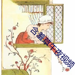 含羞草午夜视频