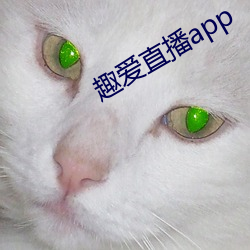 趣愛直播app