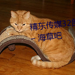 精东传媒32部超高人(rén)气(qì)作品合(hé)集 – 海草吧(ba)
