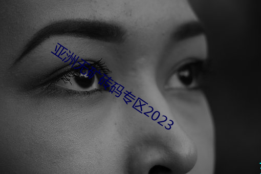 亞洲無礦磚碼專區2023