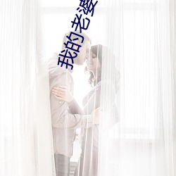 我的老婆是大明星