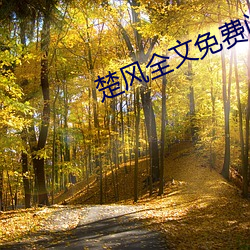 楚风全文免费阅读 （管窥之说）
