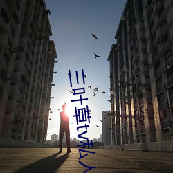 三叶草(cǎo)tv私人影视