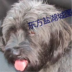 东方盐ͼƬ景区 ȱ©