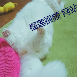 榴(榴)莲视频 网站(站)
