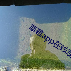 &#20813;&#x8D39;&#34892;&#x60C5;&#36719;&#x4EF6;APP&#x7F51;&#31449;&#x76F4;&#25773; - &#26085;&#x672C;&#39640;&#x6E05;&#20813;&#x8D39;&#19981;&#x5361;&#22312;&#x7EBF;&#25773;&#x653E;&#20840;&#x96C6;&#19979;&#x8F7D;