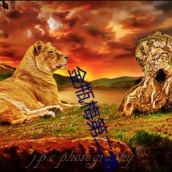 金瓶梅第二集