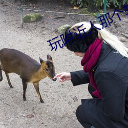 玩附近人那个软件好
